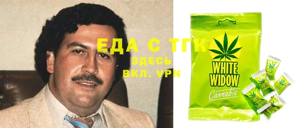 хмурый Арсеньев