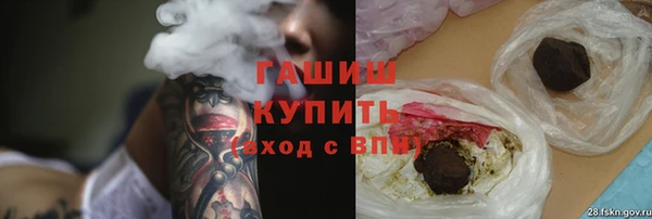 хмурый Арсеньев