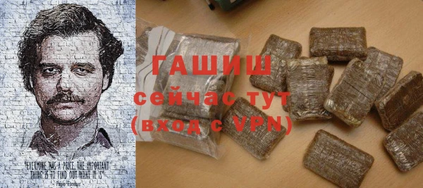 хмурый Арсеньев