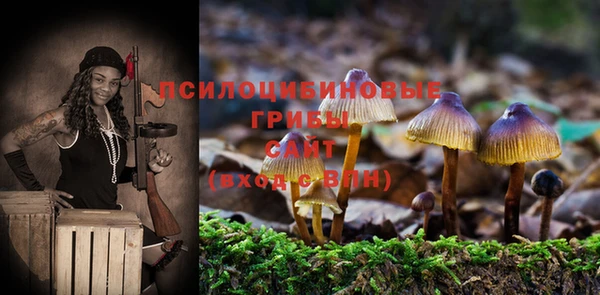 хмурый Арсеньев
