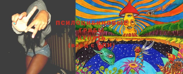 хмурый Арсеньев