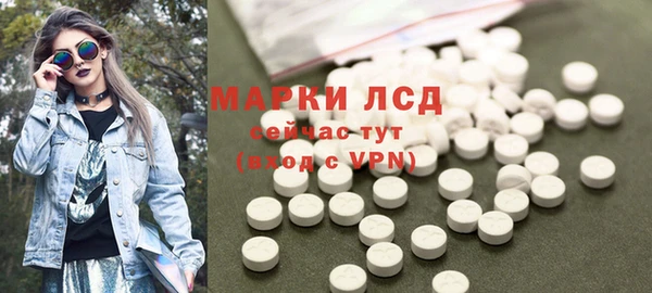 хмурый Арсеньев