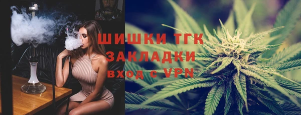 хмурый Арсеньев