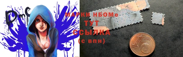 хмурый Арсеньев
