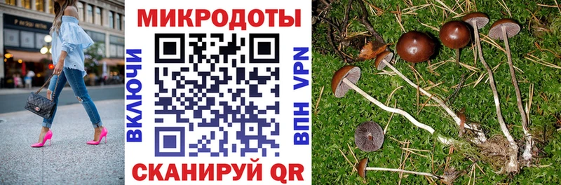 Галлюциногенные грибы GOLDEN TEACHER  даркнет сайт  Спасск 